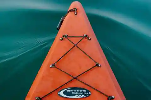 Seville: 1.5 hour Kayak Excursion