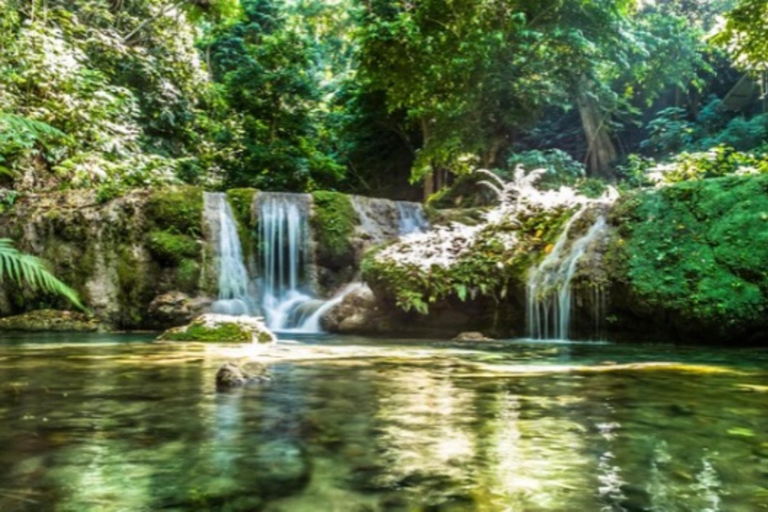 Vanuatu: Sky Bridge, Coffee Factory, & Mele Cascades Tour