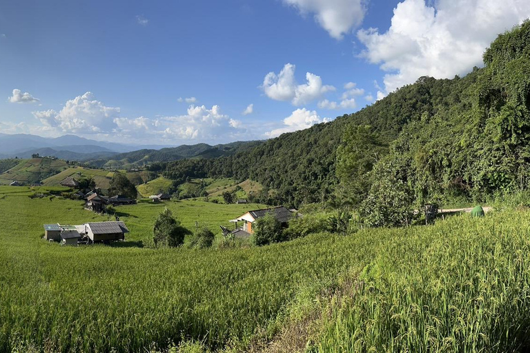 Pa Pong Piang Reisterrassen &amp; Doi Inthanon National Park