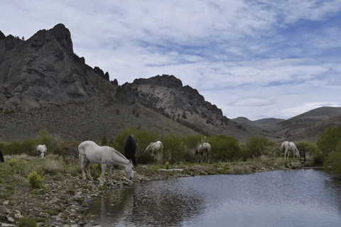 Bariloche: Patagonia Horseback Ride with Lunch & Pickup