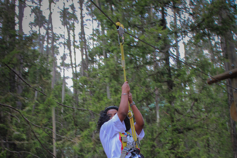 Addis Abeba Entoto Mtn: Reiten, Paintball und ZiplineEntoto Mtn: Reiten, Paintball und Zipline-Hochseilgarten