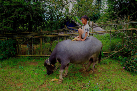 Trek d&#039;une journée à Sapa : rizières en terrasses et villages ethniques