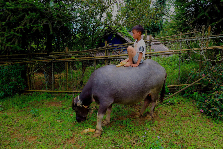 Sapa Eendaagse Trek: Rijstterrassen &amp; Etnische Dorpen