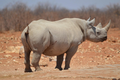 Namibië Ontdekkingsreis