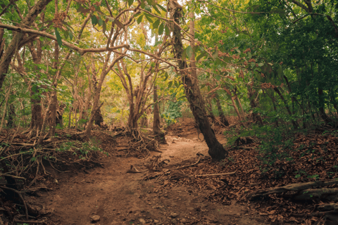 Komodo Island: Private 4–Day Trip with Phinisi Boat & Hotel