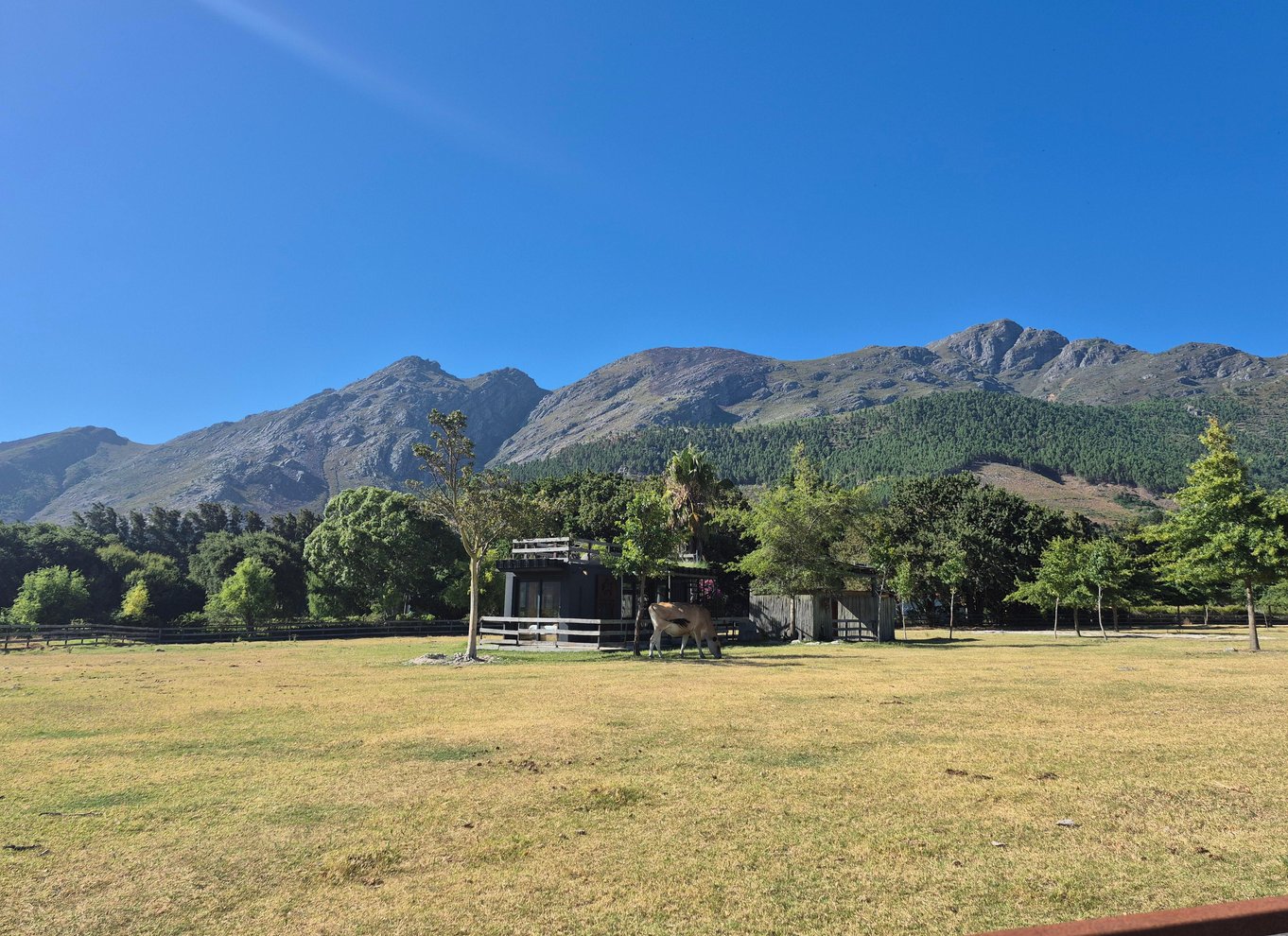 Vineyard Tour: Vin- og ostesmagning og vandretur i Franschhoek