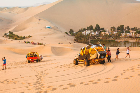 Paracas Adventure: Islas Ballestas, Buggies & Desierto