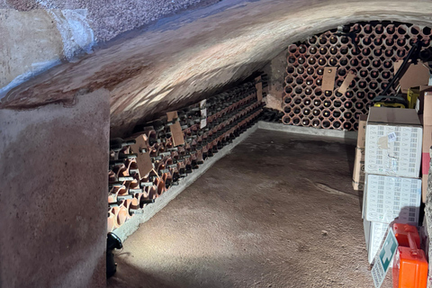 From Catania: Etna Trekking & Wine Tasting Tour with Pickup