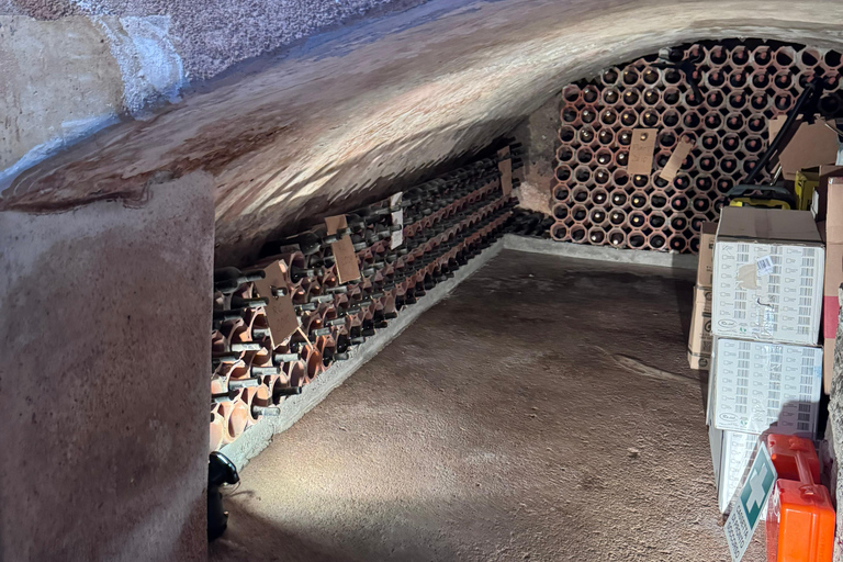 From Catania: Etna Trekking & Wine Tasting Tour with Pickup