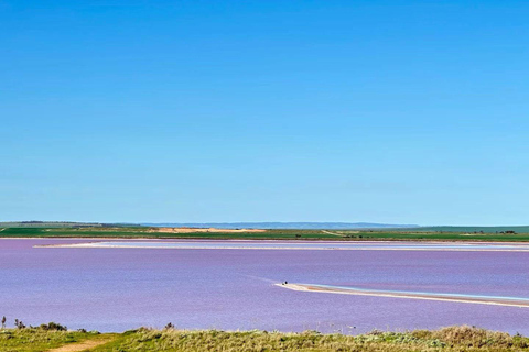 Adelaide Highlights: Wine, Whispering Wall & Pink Lake Tour