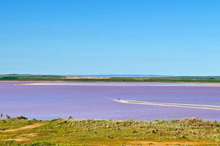 Adelaide Highlights: Wine, Whispering Wall & Pink Lake Tour