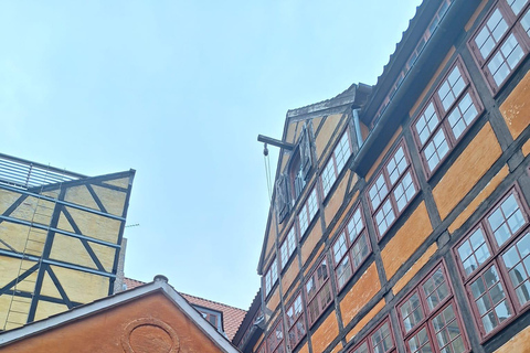 Experience Copenhagen like a local (Tour in Italian) Experience Hygge in Copenhagen like a local (Tour in Italian)