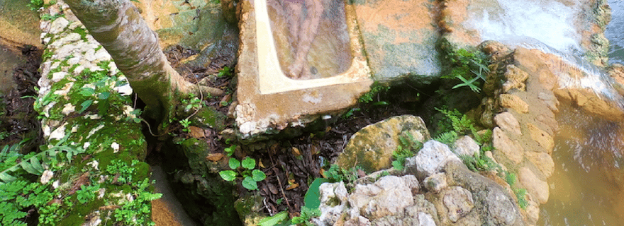Excursion en bateau aux piscines naturelles de Cano Hondo et Los Haitises