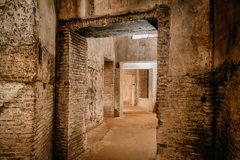 Rome: Domus Aurea Guided Tour and Virtual Reality Experience