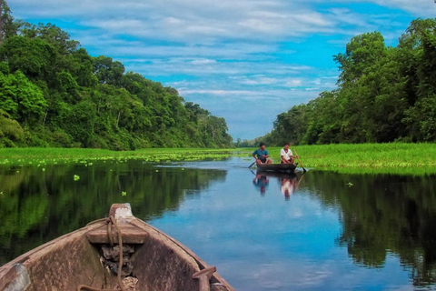 Iquitos 2 dagar Amazonfloden, nattvandring + apor