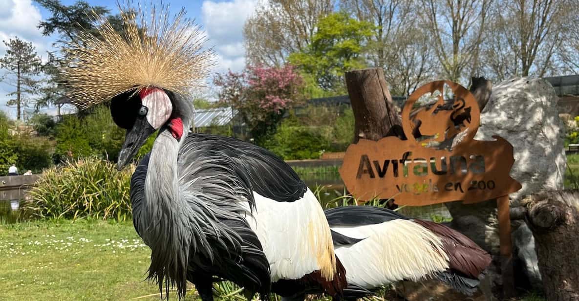 Afbeelding 6 van Alphen aan den Rijn: Avifauna Vogelpark Entree Ticket