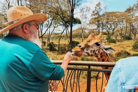 Nairobi: Giraffe Centre Visit and Giraffe Feeding Experience