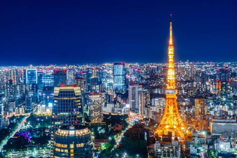 Tokio: Dagvullende tour met Engelssprekende chauffeur