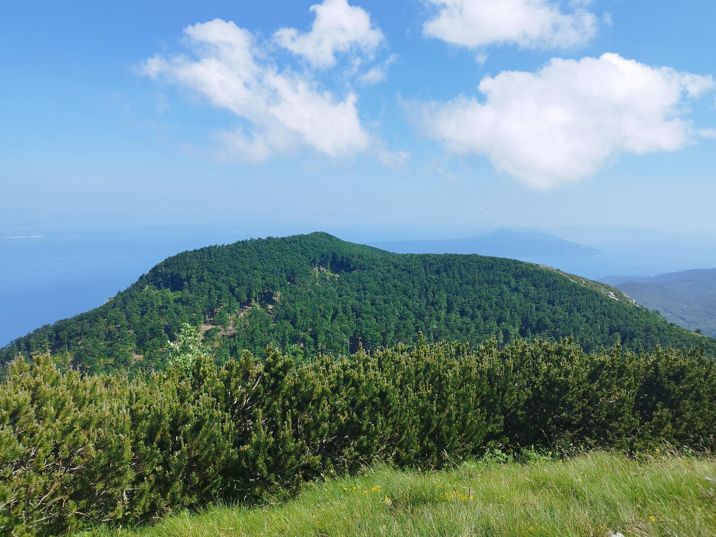 Private Wander- oder Lauftour im Naturpark Učka