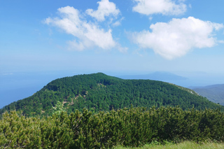 Privéwandel- of hardlooptocht in het natuurpark Učka