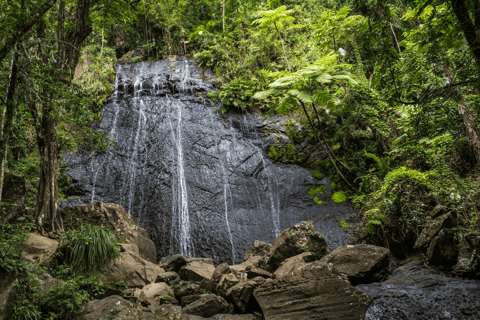 El Yunque Rainforest: EZ-Going Bus Tour (Accessible)