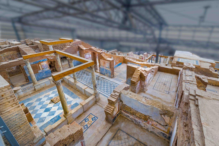 For Cruisers Kuşadası: Ephesus, Terrace Houses Tour