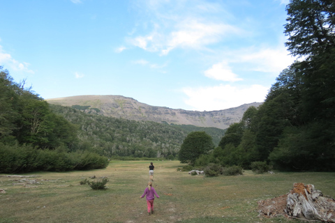 San Martin de los Andes Sightseeing Tour: Mallin Grande