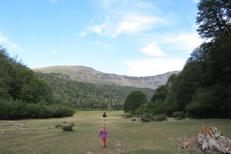 San Martin de los Andes Sightseeing Tour: Mallin Grande