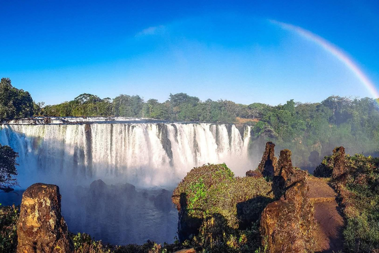 Lusaka: Lower Zambezi & Livingstone Guided Tour