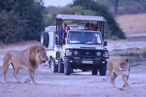 Chobe National Park & Victoria Falls Day Trip