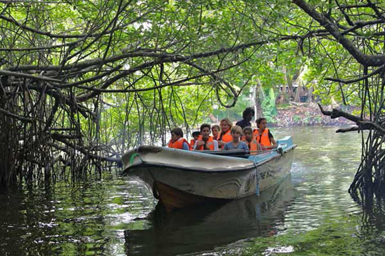 Unawatuna: 4-Day Stay with Yoga, Kayaking, and Jewelry
