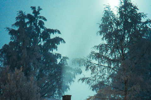 Helsinki: 3h Ice Swimming and Traditional Finnish Sauna