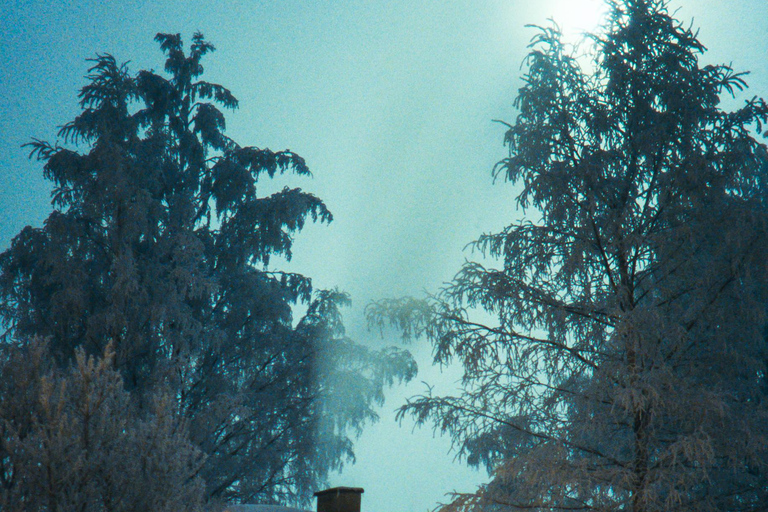 Helsinki: 3h Ice Swimming and Traditional Finnish Sauna