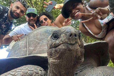 3-dniowa przygoda na Zanzibarze: Wyspa więzienna, wycieczka po przyprawach i Mnemba