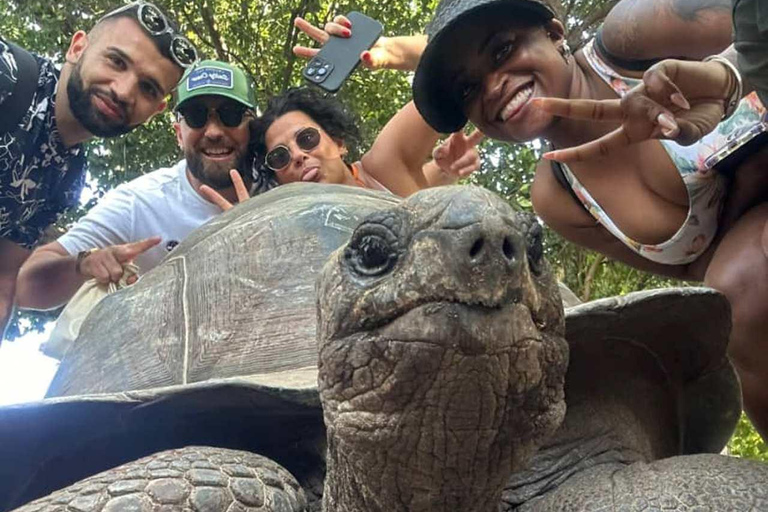 3-dniowa przygoda na Zanzibarze: Wyspa więzienna, wycieczka po przyprawach i Mnemba