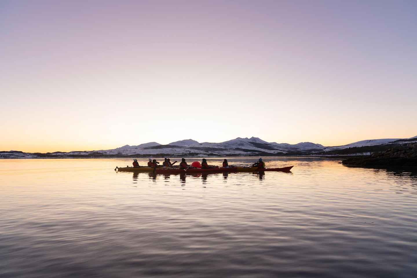 트롬쇠: 겨울 바다 카약 투어와 야생동물 관찰