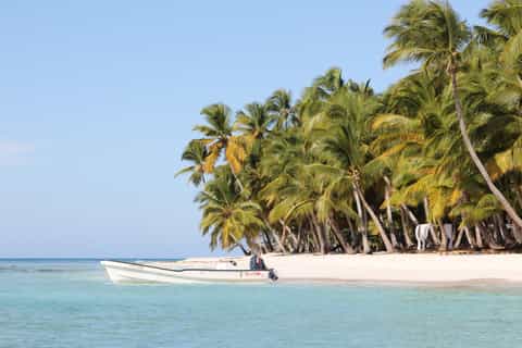 Punta Cana: Saona Island and Altos de Chavón Day Trip