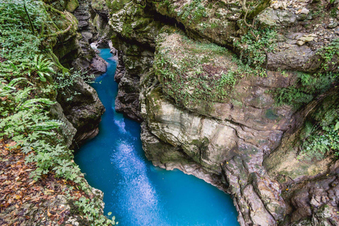 Maravillas: Cañón de Martvili y Aventura en la Cueva de Prometeo