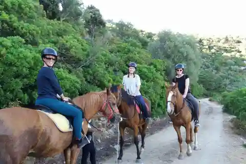 Orosei: horseback riding in the Irgoli area
