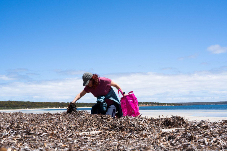 Adelaide: Eyre Peninsula and Flinders Ranges Adventure Trip