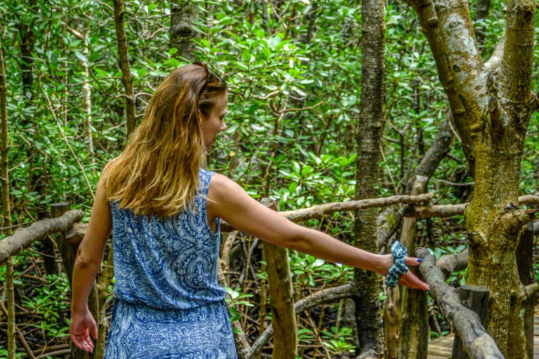 Zanzibar: Jozani forest, Butterfly & Tortoise sanctuary tour Tour with Hotel pickup & drop-off included