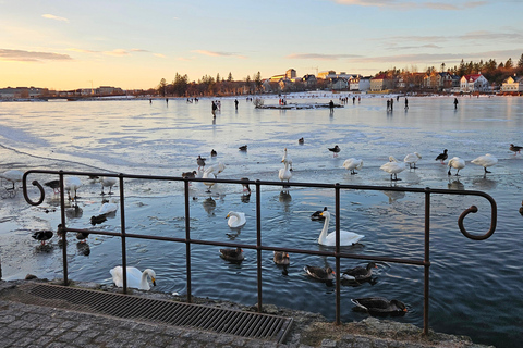 Reykjavik: Food Tour by locals