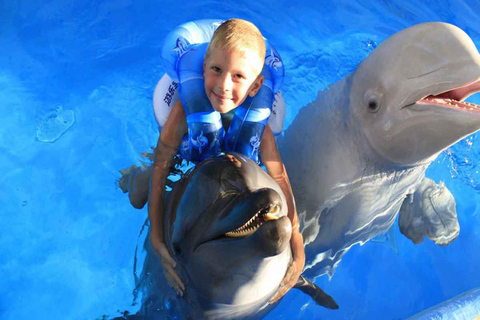 Side/Alanya: Swimming with DolphinsSide/Alanya: Swimming with Dolphins, Seals, and Sea Lions