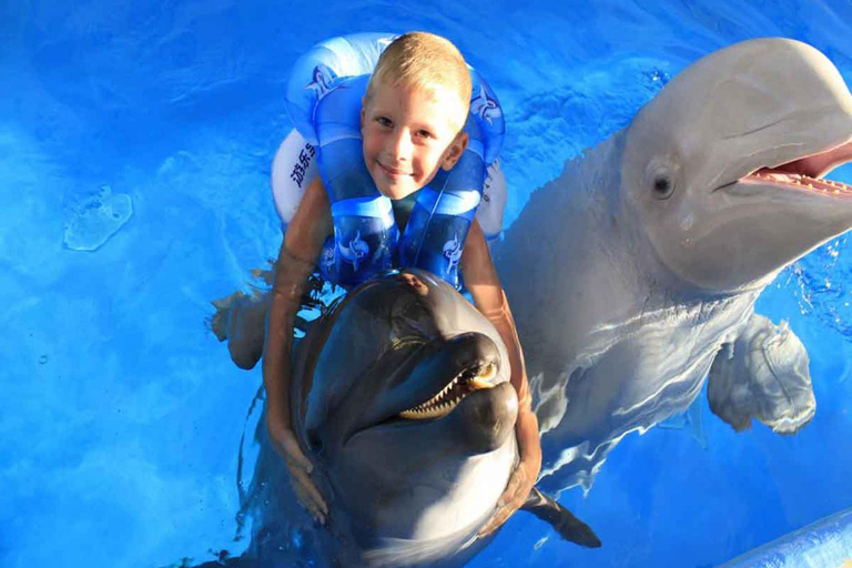 Side/Alanya: Swimming with Dolphins Side/Alanya: Swimming with Dolphins, Seals, and Sea Lions