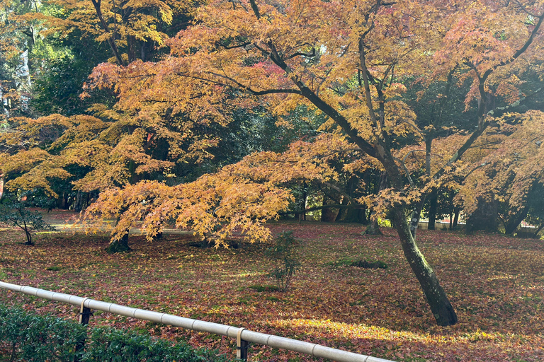 Kyoto Private Customizable Tour With Guide & Luxury vehicle