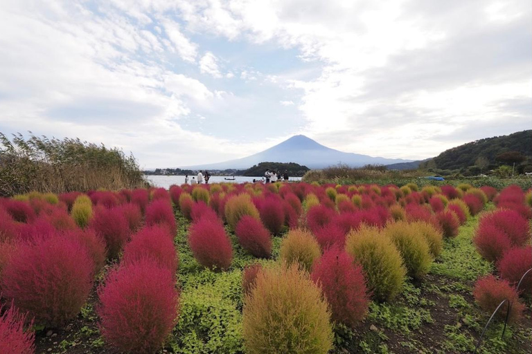 2-dagars privat tur tokyo city &amp; mount fuji eller hakone tour