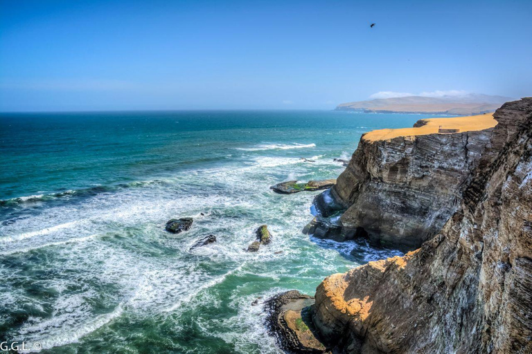 Excursion : Les îles Ballestas et la réserve nationale de Paracas