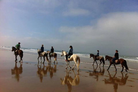 Agadir/ Taghazout: 2-stündiger Ausritt am StrandTaghazout Ausritt