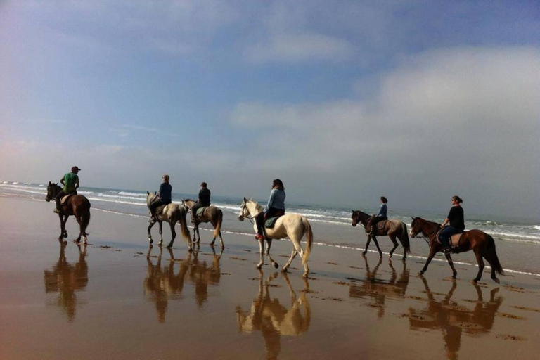 Agadir/ Taghazout: 2 Horas de Paseo a Caballo por la PlayaPaseo a caballo por Taghazout