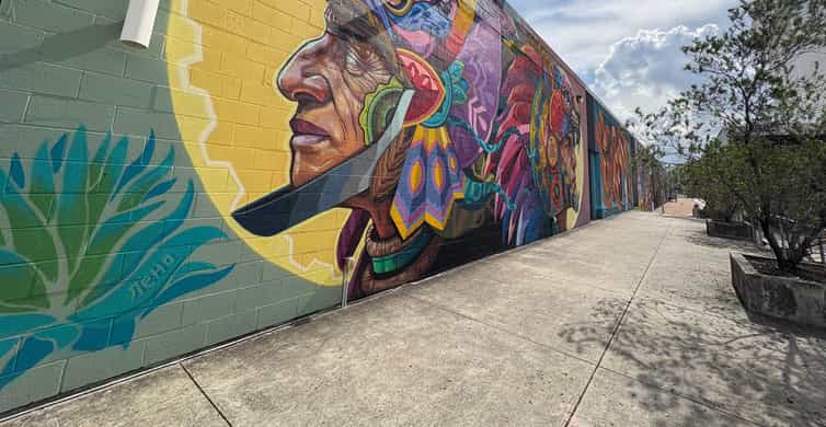 Houston: Mural Tour by Electric Cart photo 4